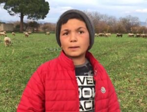 12 Yaşındaki Çoban Şevki Yorumlara Ne Cevap Verdi