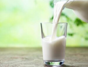 2020’De Toplanan Inek Sütü 9,8 Milyon Ton Oldu