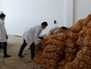 Belediye Patates Üreticisine El Uzattı