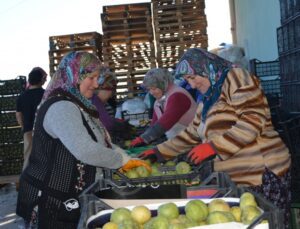 Karyağdı Armudu Depoda Kaldı