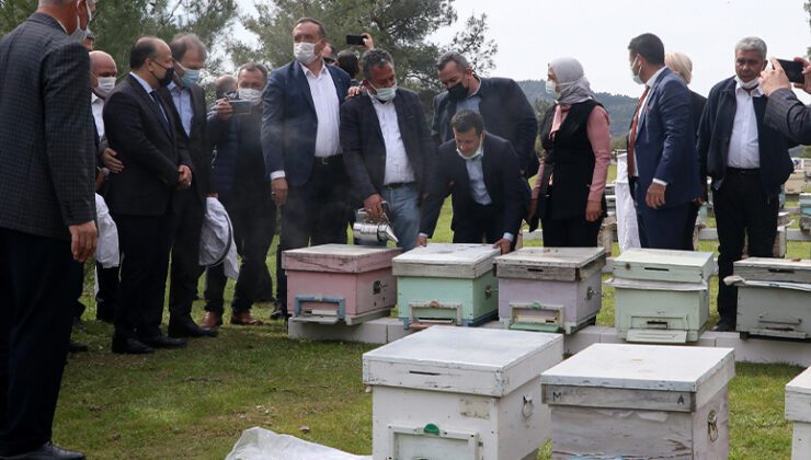 100 Kadına, 1000 Arı Kovanı Hibe Edildi