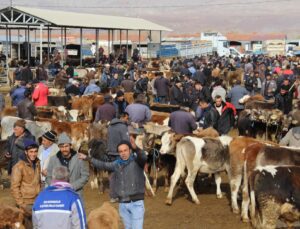 Türkiye’nin En Büyük Hayvan Pazarı Kapatıldı