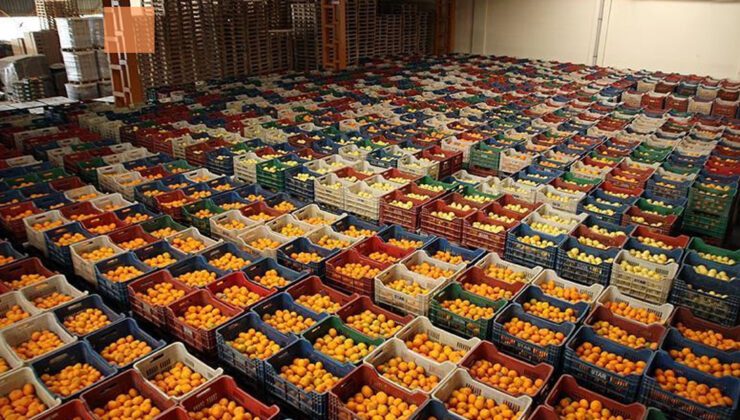Türkiye, Ocak-Şubat Döneminde 528 Milyon Dolarlık Yaş Meyve Sebze Ihraç Etti