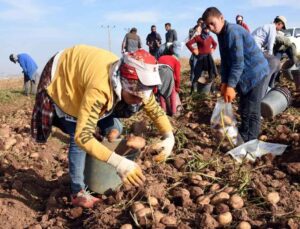 Hayvancılık Sektörü 2020 Yılında Bitlis’e 3 Milyar Tl Kazandırdı