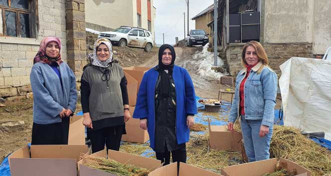 Kadınlar Üretti, Kadınlar Ihraç Etti