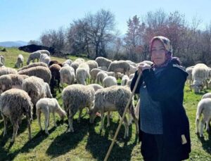 Kadın Çoban 170 Hayvanlık Sürüye Bakıyor