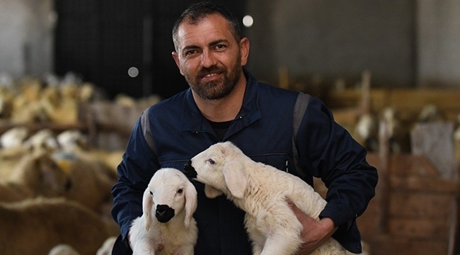 Öğretmenliği Bıraktı Kuzularına Geri Döndü