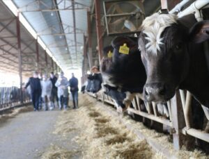 20 Büyükbaş Hayvanla Başladığı Hayvancılıkta Çiftlik Sahibi Oldu