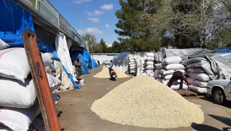 Antep Fıstığında Fiyatlar Düşüyor