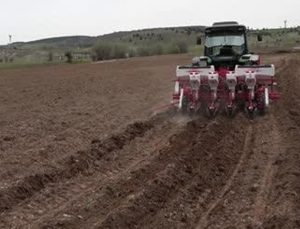 Karabük’Te Atıl Durumdaki 350 Dekar Tarım Arazisine Ayçiçeği Ekildi