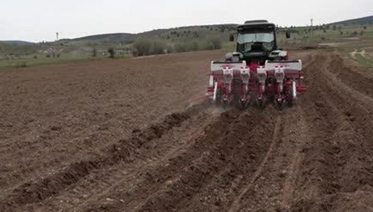 Karabük’Te Atıl Durumdaki 350 Dekar Tarım Arazisine Ayçiçeği Ekildi