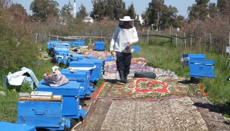 Fiyatı Artan Bala Arıcılardan Özel Ilgi