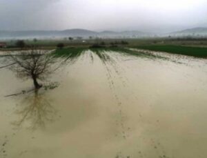 Mudanya’Da Tarım Arazileri Sular Altında Kaldı