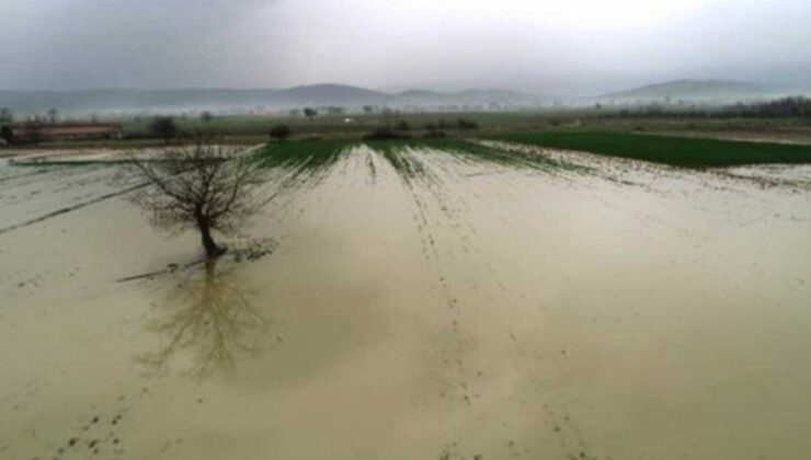 Mudanya’Da Tarım Arazileri Sular Altında Kaldı