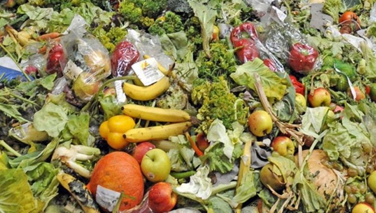 Her Yıl 18,8 Milyon Ton Gıda Çöpe Gidiyor