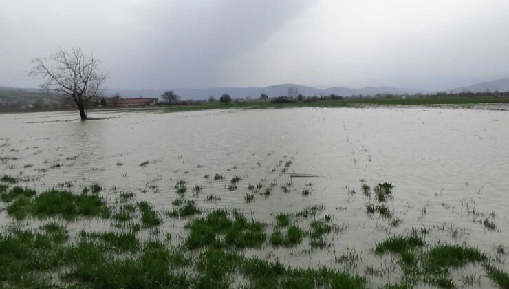 Hayvan Çiftliği Sular Altında Kaldı, Kuzular Kepçeyle Kurtarıldı