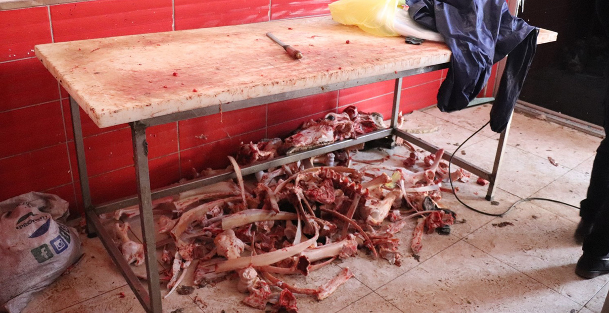 Kaçak kesim 750 kilo et ile 120 kilo sakatata el konuldu Çiftçi TV