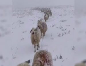 Kar Yağışını Sosyal Medya Hesabından Paylaşan Vatandaşın Takipçileri Ile Diyaloğu Güldürdü