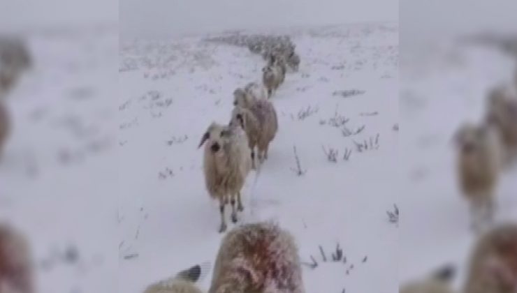 Kar Yağışını Sosyal Medya Hesabından Paylaşan Vatandaşın Takipçileri Ile Diyaloğu Güldürdü