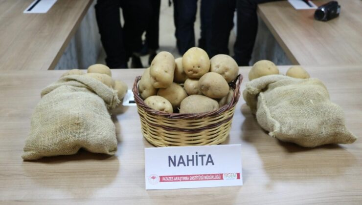 Yerli Patates Çeşidi “Nahita” Avrupa Yolunda