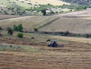 Ulusal Tarım Çalıştayı Sonuç Bildirgesi Yayınlandı