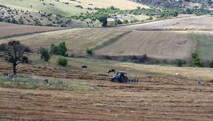 Ulusal Tarım Çalıştayı Sonuç Bildirgesi Yayınlandı