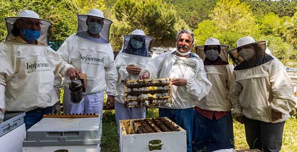Balparmak Arıcılık Akademisi Ile İstanbul İli Arı Yetiştiricileri Birliği İstanbul’a Yeni Arıcılar Kazandırdı