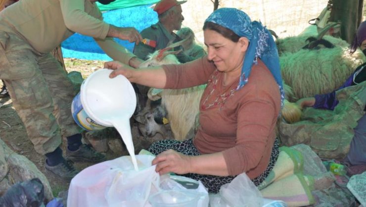 Berivanlar, Şırnak Yaylalarında Süt Sağımına Başladı