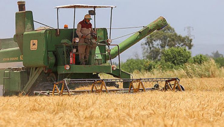 Buğdayda Hasat Başlıyor, Çiftçi Fiyat Bekliyor