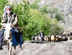 30 Gün Yol Yürüyen Göçerler Yaylaya Ulaştı