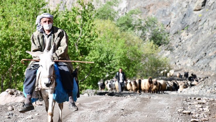 30 Gün Yol Yürüyen Göçerler Yaylaya Ulaştı