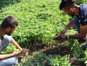 Devlet Destek Verdi, Türkiye’Nin Farklı Illerinden Sipariş Yağmaya Başladı