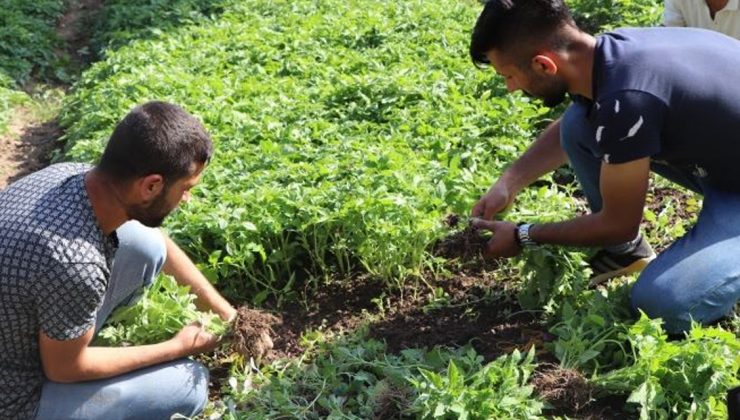 Devlet Destek Verdi, Türkiye’Nin Farklı Illerinden Sipariş Yağmaya Başladı