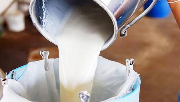 Çiğ Süt Prim Destekleri Bugün Ödeniyor