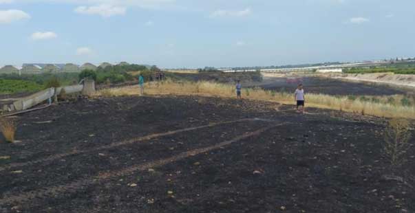 Anız Yangınında 20 Dönüm Tarım Arazisi Zarar Gördü