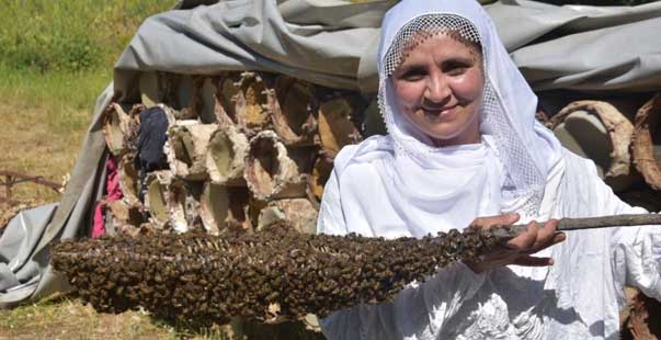 40 Kovanla Başladı Şimdi 600 Kovanı Var