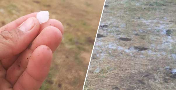 Çanakkale Yenice’De Dolu Tarım Ürünlerine Zarar Verdi