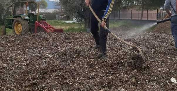 Herkes Çöp Diye Yakıyordu, Çok Değerli Bir Gübre Olduğu Ortaya Çıktı