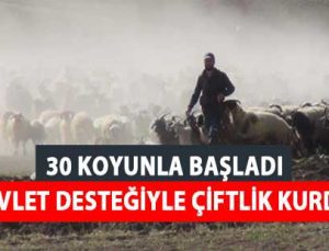 30 Koyunla Başladı, Devlet Desteğiyle Çiftlik Kurdu