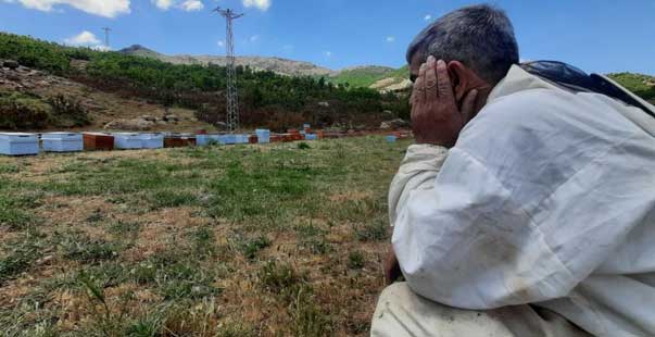 Bingöl’de Kuraklık Arıcıları Da Vurdu