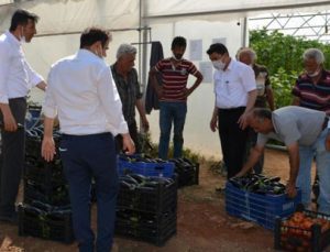 Atıl Araziye Kurdukları Sera Gelir Kapısı Oldu