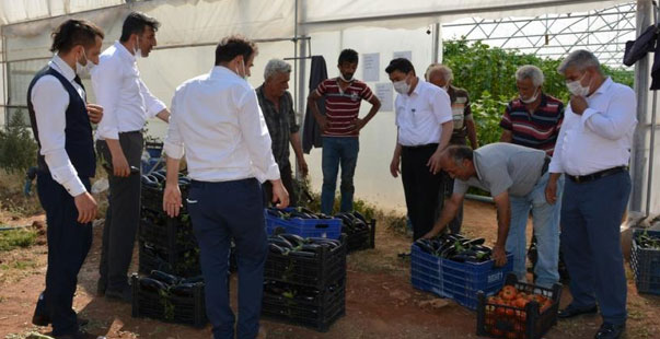 Atıl Araziye Kurdukları Sera Gelir Kapısı Oldu