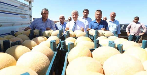 Başkan Tahmazoğlu, Çiftçilerle Ekti Çiftçilerle Topladı