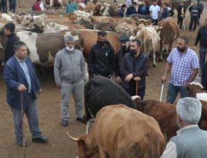 Kars’ta Kuraklık Kurban Satışlarını Olumsuz Etkiledi