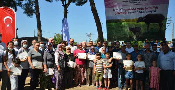 Büyükşehir’Den Bergamalı Üreticilere Manda Desteği