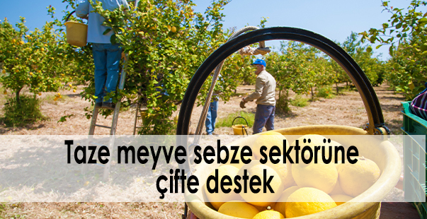 Taze Meyve Sebze Sektörüne Çifte Destek