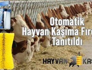 Hayvan Refahı Için Üretilen Kaşıma Fırçaları