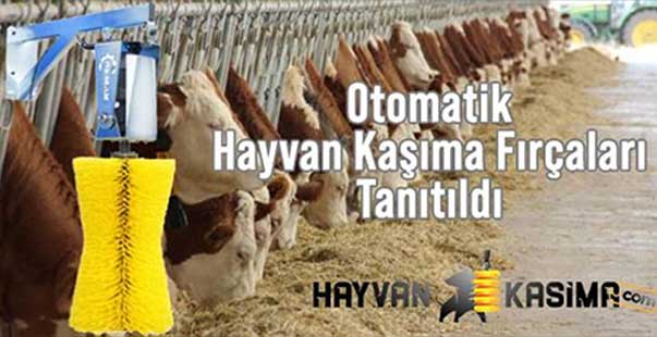 Hayvan Refahı Için Üretilen Kaşıma Fırçaları