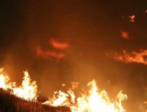 Edirne’De Çıkan Anız Yangını Korkuttu