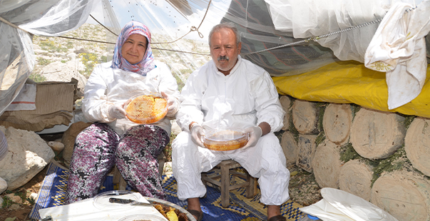 2 Bin Metrede Kovanından Çıkmadan Satılıyor